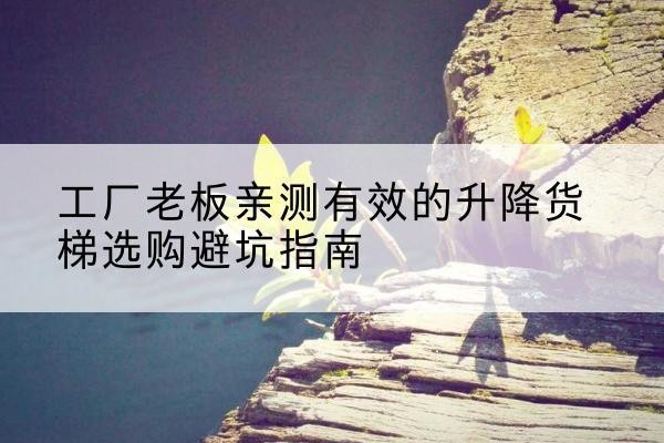 梨树升降货梯怎么选-工厂老板亲测有效的升降货梯选购避坑指南
