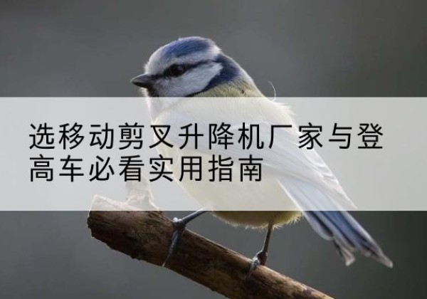 梨树电动升降机厂家-选移动剪叉升降机厂家与登高车必看实用指南