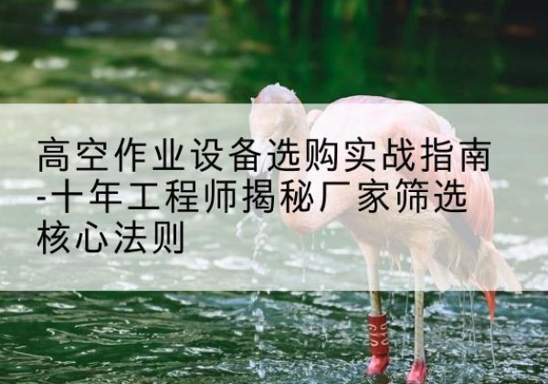 梨树剪叉式升降机厂家-高空作业设备选购实战指南-十年工程师揭秘厂家筛选核心法则
