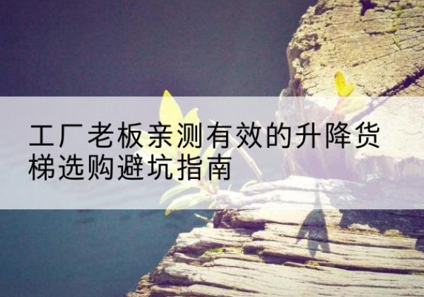 梨树升降货梯怎么选-工厂老板亲测有效的升降货梯选购避坑指南